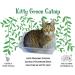 Organic Catnip by Kitty Green Grown in North America. - Buy Online on GoSupps.com