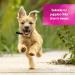 Pretty PoOch Gentle Touch Shampoo & Conditioner for Dogs | Non-Itchy Deep Cleaning for Sensitive Skin | 4L Baby Powder Fragrance - Buy Online on GoSupps.com