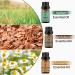 Chamomile Sandalwood Vetiver Essential Oils Set 100% Pure Premium Grade Natural Fragrance Oil Gift kit for Diffusers Home Care Candle Making Fragrance Aromatherapy Humidifiers Chamomile + Sandalwood + Vetiver 10.00 ml (Pack of 3) - Buy Online on GoSupps.com