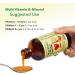 CHILDLIFE ESSENTIALS Kids Multivitamin & Mineral - Kids Vitamins Liquid Multivitamin for Kids Toddler Multivitamins Liquid Vitamins Baby Multivitamin - Natural Orange & Mango 8 Fl Oz (Pack of 4) Orange Mango 8 Fl Oz (P  - Buy Online on GoSupps.com