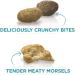 Purina ONE Tender Selects Blend Adult Dry Cat Food - High-Quality Nutrition for Cats - Buy Online on GoSupps.com