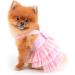 Pink Striped Denim Puppy Dress with Organza Bow and Beads - XS size (Chest 30cm/11.8, Back 20cm/7.9) - Summer Sleeveless Button-Up Dog Apparel - Buy Online on GoSupps.com