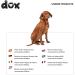Ddoxx Reflective Nylon Dog Leash - Bite-Proof Roller Leash with Lock System | XS 3m for Dogs Up to 8kg - Black - Buy Online on GoSupps.com