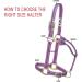 WEAVER Blue Leather Non-Adjustable Halter for Average Horses - Durable & Stylish | International Shipping Available - Buy Online on GoSupps.com