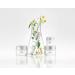 BareMinerals Ageless Phyto-Retinol Eye Cream Fair 15 Cool 8.0g - Anti-Aging Skincare - Buy Online on GoSupps.com