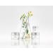 Buy bareMinerals Ageless Phyto-Retinol Neck Cream | Vegan Anti-Aging & Anti-Wrinkle Formula with Plant-Based Retinol & Hyaluronic Acid - International Shipping Available - Buy Online on GoSupps.com