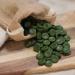 Sun Chlorella Rejuv-A-Wafers - Daily Superfood Supplement for Pets - Immune Defense & Gut Health Support - 60 Wafers - Buy Online on GoSupps.com
