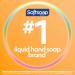 Softsoap Antibacterial Liquid Hand Soap - Gentle Clean Sparkling Pear Scent - 11.25 oz 6 Pack - Buy Online on GoSupps.com
