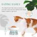 Frewinky Elevated Cat Bowls - Anti Vomiting Ceramic Dishes for Flat Faced Cats - 12 Oz Blue - Buy Online on GoSupps.com