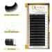 Classic Eyelash Extensions 0.03 D 14mm | QUEWEL C/D Curl | International Shipping Available - Buy Online on GoSupps.com