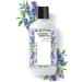 THE LIVING CO. Lavender + Green Tea Body Milk - 300ml - Buy Online on GoSupps.com