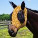 Harrison Howard Super Comfort Stretchy Fly Mask - Large Eye Space & UV Protection - Ethnic Style (Medium Yellow) - Buy Online on GoSupps.com