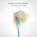 Long Handle Shower Body Brush with Comfy Bristles and Loofah for Skin Exfoliating - Blue - Buy Online on GoSupps.com