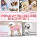 SlowTon Dog Surgery Recovery Suit Dog Cone E-Collar Alternative After Surgery with Zipper Professional Pet Recovery Shirt Dog Preventing Licking Spay Suit for Female Male Dog M Pink - Buy Online on GoSupps.com