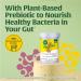 MegaFood Womens Probiotic + Prebiotic - Gluten-Free Prebiotics and Probiotics for Women Supports Digestive Health & Regularity Vaginal Probiotics for Healthy pH Levels Vegetarian - 30 Capsules - Buy Online on GoSupps.com