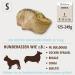 Petlove Chewing Root for Dogs - Natural Hypoallergenic Chewing Bones Without Additives | Size S (125-249g) - Ideal for Puppies - Buy Online on GoSupps.com