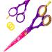 Hairdressing Scissors Hair Cutting Scissor Barber Scissors for Hair Cutting Tool Salon Shears Salon Barbers Men Women