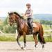 Free Gaiters & String Caps Set - 4 Neoprene Horse Tendon Protectors for Jumping Riding & Dressage - Buy Online on GoSupps.com