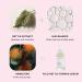 Alpyn Wild Nettle & Niacinamide Firming Serum | Smooth Plump & Moisturize | Reduce Fine Lines & Pores | For All Skin Types | 1 oz - Buy Online on GoSupps.com