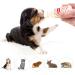 Alpha Dog Beaphar Lactol Feeding Bottle & Syringe Set Puppy Dog Kitten Whelping Milk Set - Buy Online on GoSupps.com