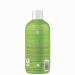 ATTITUDE Little Leaves Bubble Wash - Watermelon & Coco - 16 fl oz | Gentle Cleansing for Kids - Buy Online on GoSupps.com
