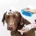 CHOOSEEN Large Dog Paw Cleaner - 2 in 1 Grooming Supplies for Paw Washing (No.D941034) - Buy Online on GoSupps.com
