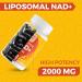 2000 MG NAD Supplement Liposomal NAD+ with High Absorption More Efficient Than Nicotinamide Riboside Pure & Plus Boosting Supplement Aging Defense Metabolism & Cellular 60 softgels 60 Count (Pack of 1) - Buy Online on GoSupps.com