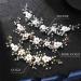 Unicra Bride Wedding Hair Vine Flower Hair Accessories Pearl Bridal Headpiece Hair Band for Women and Girls (Rose Gold) - Buy Online on GoSupps.com