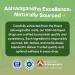 KSM-66 Ashwagandha Liquid Drops Vegan, GMO Free & Fast Absorbing Form Ashwagandha Supplements for Daily Wellness Support Promotes Focus and Clarity Supports Daily Vitality (Mixed Berry, 60ml) - Buy Online on GoSupps.com