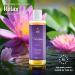 Vibratissimo Relax Soothing Massage Oil for Relaxation Erotic Love Oil 100 ml Relax 100 ml (Pack of 1) - Buy Online on GoSupps.com