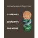 ManCave Cedarwood Shower Gel 500ml - Fresh Wood Aroma, Natural Formula, Vegan & Eco-Friendly, Made in England - 1 Pack - Buy Online on GoSupps.com