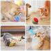 Yutuy Cat Toys Set with 36 PCs - Interactive Cat Tunnel Spring Toys Mice & Fish - Ultimate Fun for Kittens & Cats - Buy Online on GoSupps.com