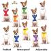 Deaf Dog Dexil Friendly Color Coded Leash - Prevent Dog Accidents with Award-Winning Accident Prevention System - Buy Online on GoSupps.com