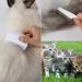 4 Pieces Animal Hair Comb Set - Magical Pet Flea Comb for Cats - Multi-functional Tear Stain & Fur Removal Tool - Buy Online on GoSupps.com