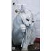Premium Catslang Cat Toys | Natural Leather & Springs | 4-Piece Set for Cats | Handmade in Germany - Buy Online on GoSupps.com