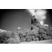 B + W 77mm Infrared Filter # 092 (89B) - Enhance Photography with Infrared Effect - Buy Online on GoSupps.com