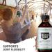 USDA Organic Certified Premium Black Cumin Seed Oil  Darkest Highest TQ Content 1.08 Percent  Nigella Sativa  Undiluted  Cold Pressed  No Solvents  Certified Vegan  Non-GMO (4 Ounce) - Buy Online on GoSupps.com