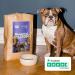 Buy Hey Holy 7kg Grain-Free Bulldog Dry Food with 40% Salmon - Premium Animal Protein for Adult Dogs - Buy Online on GoSupps.com