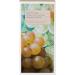 Mizuno KORRES The Santorini Grape Surprise Set 2 Pieces Shower Gel (40 ml) & Body Milk (200 ml) Vegan for Moisturising Care clear 21008065 - Buy Online on GoSupps.com
