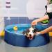 Foldable Dog Pool Collapsible Dog Bathtub Kids Pool for Backyard Plastic Bath Tub Duck Pond Bathing and Swimming Wading Pool for Pet Kiddie Baby Toddler Doggie Cat (Blue 80CM) 80CM Blue - Buy Online on GoSupps.com