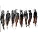 Real Feather Hair Extensions Kit - 25 Mini Fluffys + Rings/Loop + Instructions - Buy Online on GoSupps.com