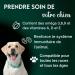 DISANE Cod Liver Oil for Dogs | 500 ML | Natural Supplement for Joint and Coat Care | Source of Omega 3 and Vitamins for Dogs - Buy Online on GoSupps.com
