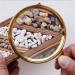 Spacmirrors Magnifying Glass Hd Lens Identification Cylinder Identification Watches DIY Crafts Carving 6X Handheld Magnifying Glass Wood Handle for Scale Measurement Magnifier - Buy Online on GoSupps.com