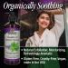 Nature's Answer Peppermint Essential Oil Body Wash - 16oz Pump for Sensitive Skin, Natural Exfoliation - Buy Online on GoSupps.com