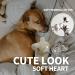 All for Paws Heartbeat Soft Toys for Dogs - Beige Sheep | Small Dog Toys for Behavioral Training & Puppy Relief - Buy Online on GoSupps.com
