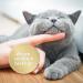Felisept Home Comfort Catnip Spray 100ml - Natural Sedative & Anti-Scratch Solution for Cats - Buy Online on GoSupps.com