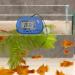 Digital Aquarium Thermometer - 2-Pack LCD Water Temperature Sensors with Suction Cup for Turtle & Fish - Accurate Terrarium Monitoring - Buy Online on GoSupps.com