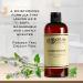 C.O. Bigelow Lavender Peppermint Conditioner | Hydrating Luxury Hair Moisturizer | 10.4 Fl Oz - Buy Online on GoSupps.com