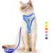 Supet cat dishes and leash set of fleeing kitten kitten. Cat vested harness with reflex stripes universal cat leash and tableware for cats/puppies blue S S (breast circumference: 24 - 40 cm) blue