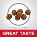 Hill's Science Diet Dry Cat Food Kitten Indoor Chicken Recipe 7 lb - Pack of 1 | White - Buy Online on GoSupps.com